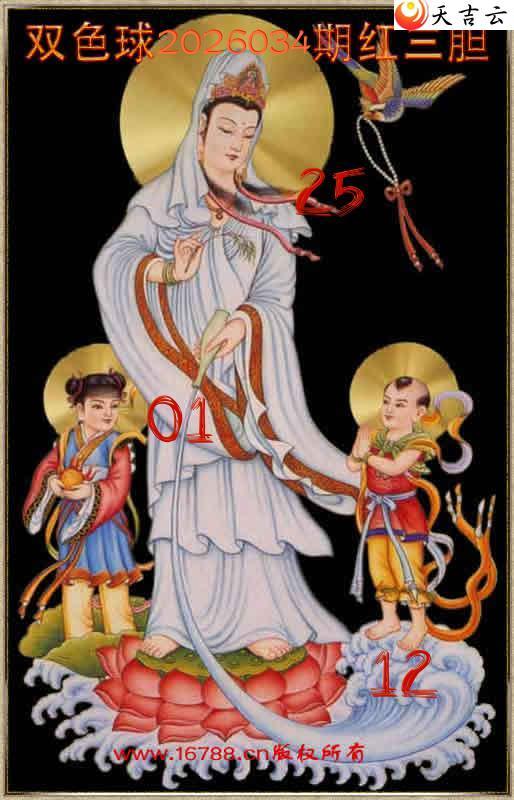 ˫ɫ��2026034�������������1