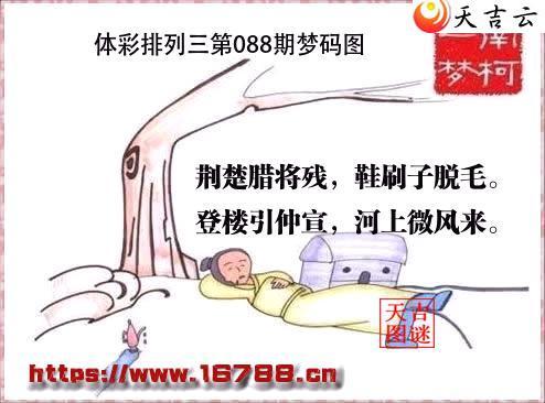 �����������2026088������ͼ1