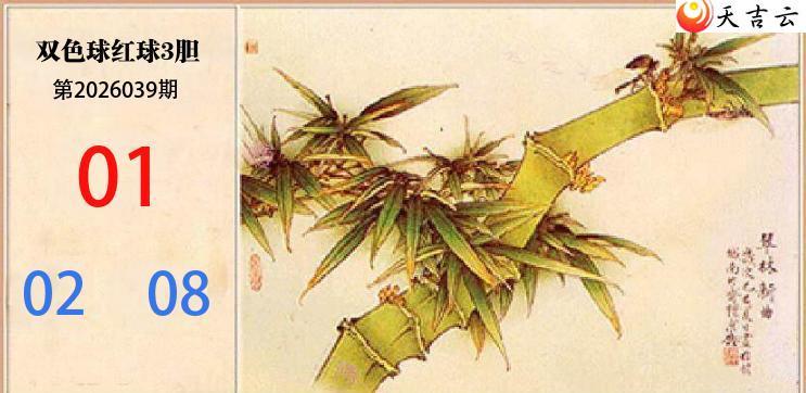 ˫ɫ��2026039��С���������������ͼ��1