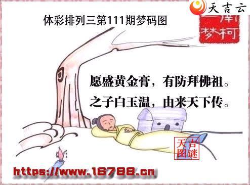 �����������2026111������ͼ1