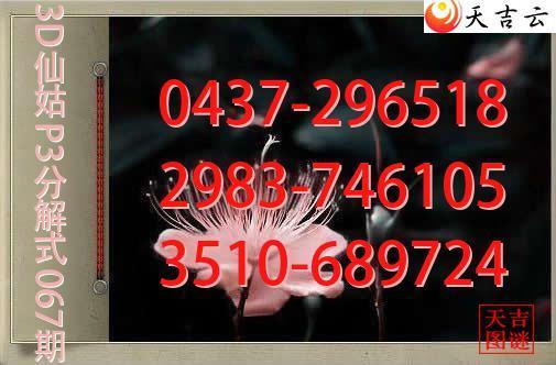 2026067��3D�ɹ�p3�ֽ�ͼ1