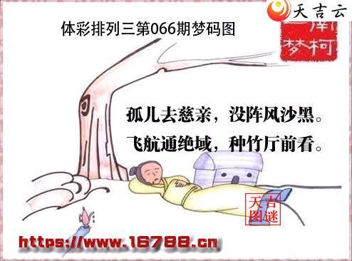 �����������2026066������ͼ1