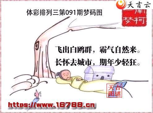 �����������2026091������ͼ1