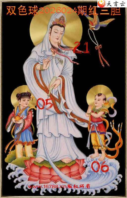 ˫ɫ��2026024�������������1