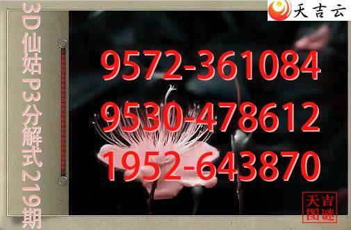 2026219��3D�ɹ�p3�ֽ�ͼ1