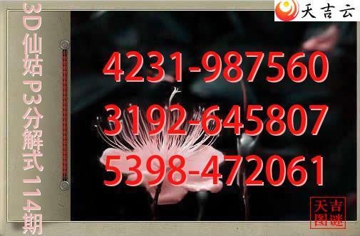 2026114��3D�ɹ�p3�ֽ�ͼ1