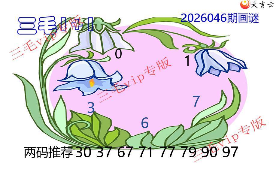 ����3D2026046����ëͼͼ��1