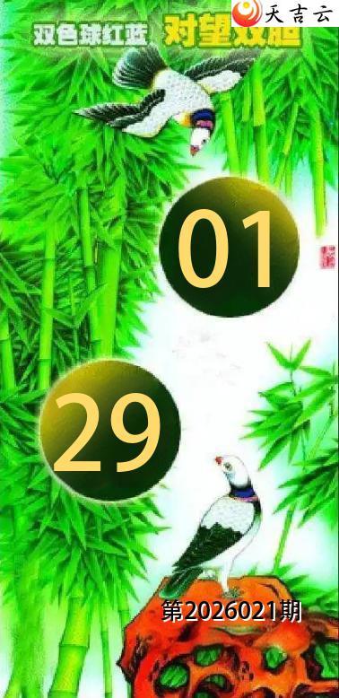 ˫ɫ��2026021��С�����ɶ���˫��ͼ�պ���1