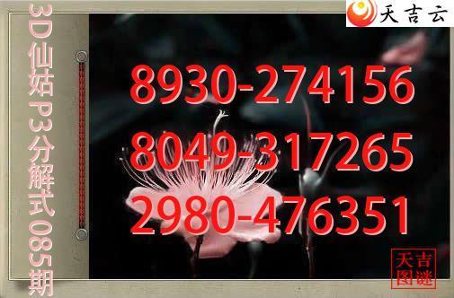 2026085��3D�ɹ�p3�ֽ�ͼ1