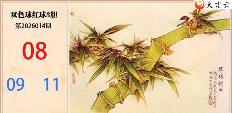 ˫ɫ��2026014��С���������������ͼ��1