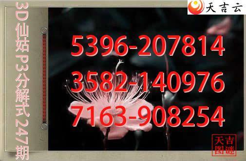 2026247��3D�ɹ�p3�ֽ�ͼ1