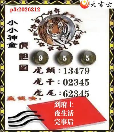 ����2026212��СС��ͯ����ͼ1