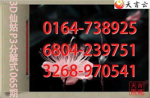 2026065��3D�ɹ�p3�ֽ�ͼ1