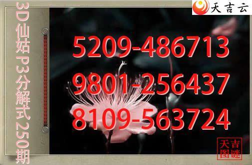 2026250��3D�ɹ�p3�ֽ�ͼ1