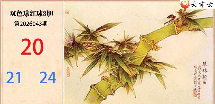 ˫ɫ��2026043��С���������������ͼ��1