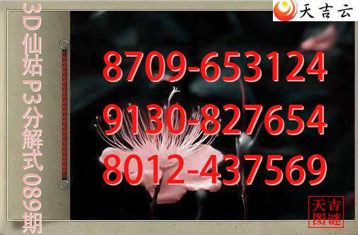 2026089��3D�ɹ�p3�ֽ�ͼ1