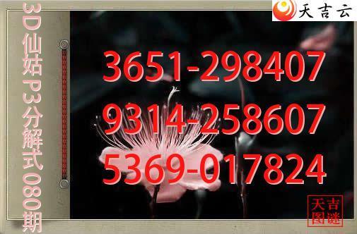 2026080��3D�ɹ�p3�ֽ�ͼ1