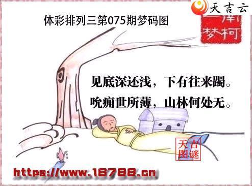 �����������2026075������ͼ1