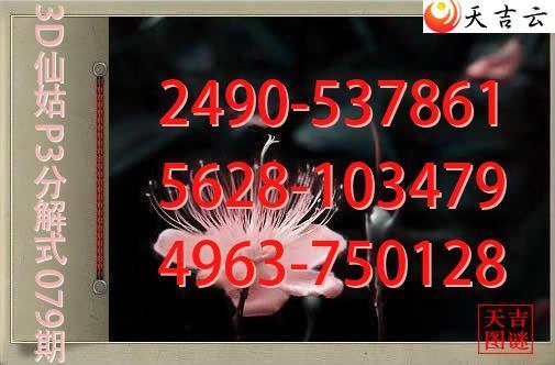 2026079��3D�ɹ�p3�ֽ�ͼ1