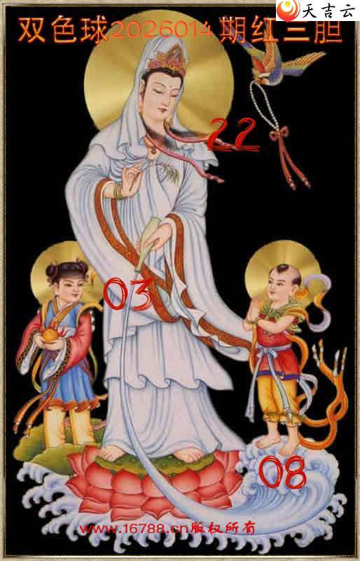 ˫ɫ��2026014�������������1