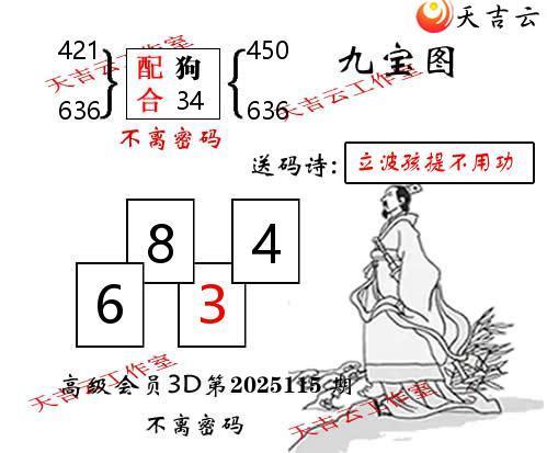 福彩3D2025115期九宝图谜1
