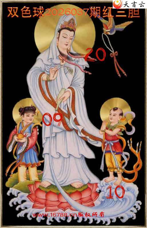 ˫ɫ��2026037�������������1