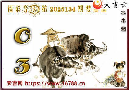켪2025134ڸ3Dͼ3