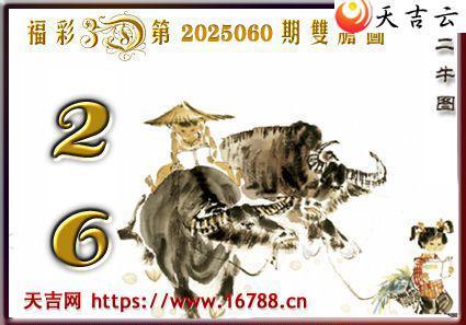 켪2025060ڸ3Dͼ3