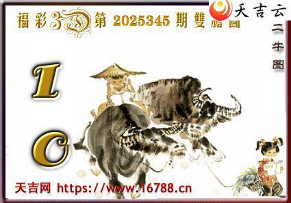 �켪2025345�ڸ���3Dͼ��3