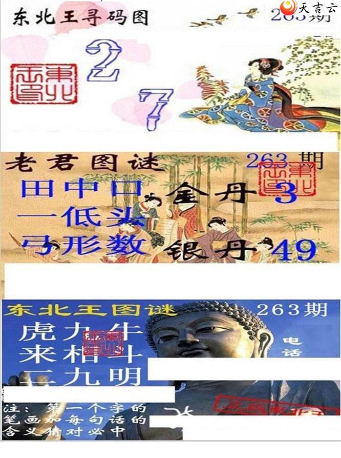 22263ڶѰϾͼ1