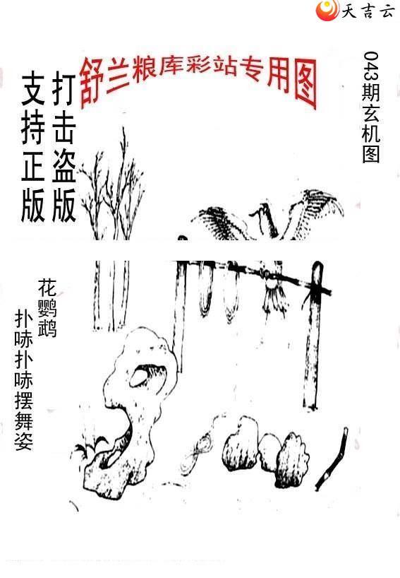 ����3d22043����峤����ͼ��2