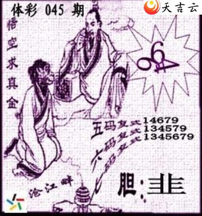 22045�ڲ�ǲ׽�ͼ��2