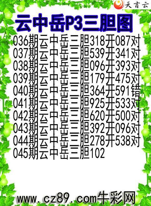 22045������������ͼ��1