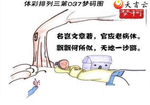 ����037������ͼ��1