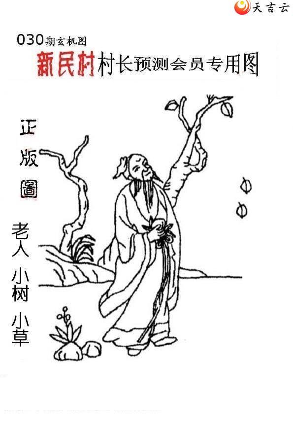 030����峤����ͼ��2