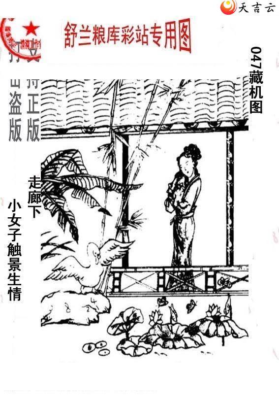 3d047����峤����ͼ��2