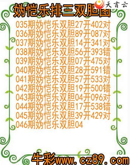 ����046�������˫��ͼ��1