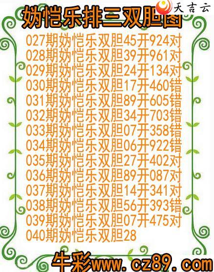 ����040�������˫��ͼ��1