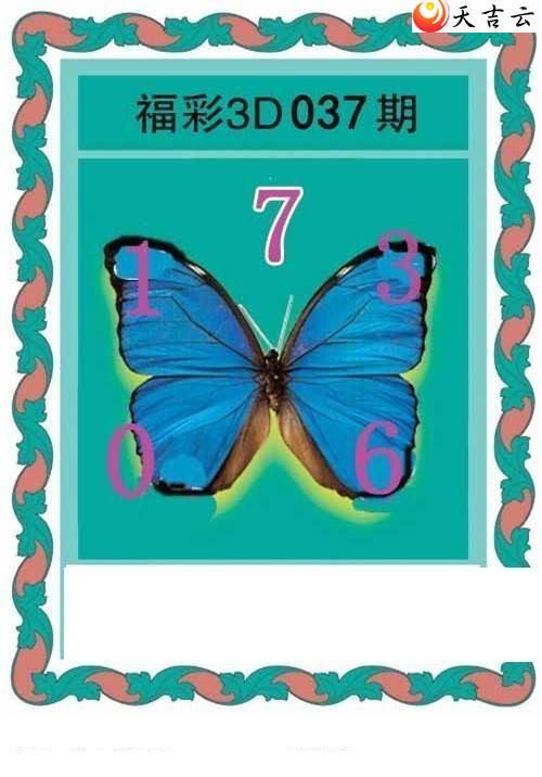 3d037�ں���ͼ��2