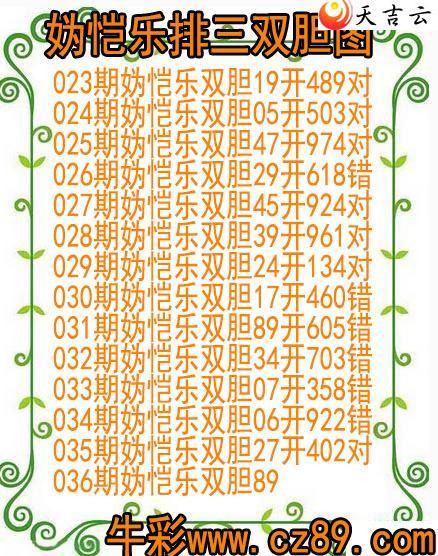 22036�������˫��ͼ��1