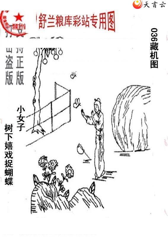 3d036����峤����ͼ��1