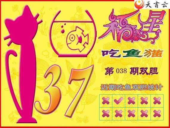 22038�ڸ��ǳ���èͼ��1