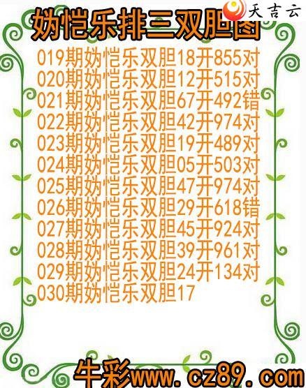 22030�������˫��ͼ��1