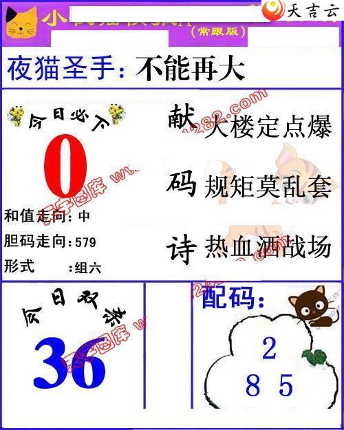 3d22037��Сҹè�챨ͼ��2