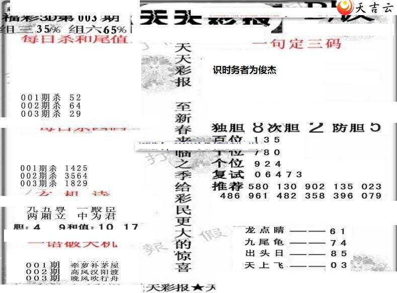 003������ʱ���ר��ͼ��2