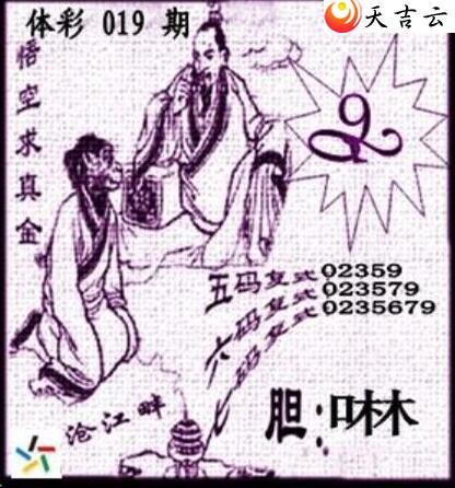 ����019�ڲ�ǲ׽�ͼ��2