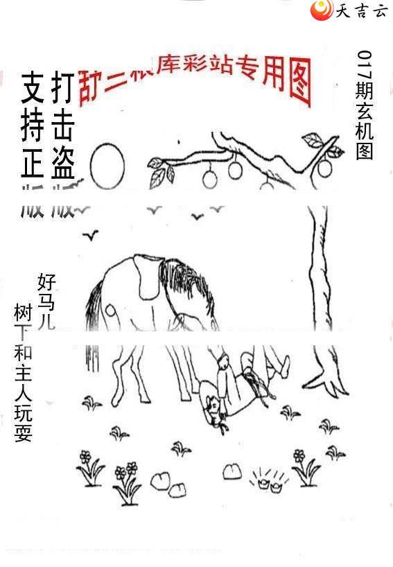 22017����峤����ͼ��2