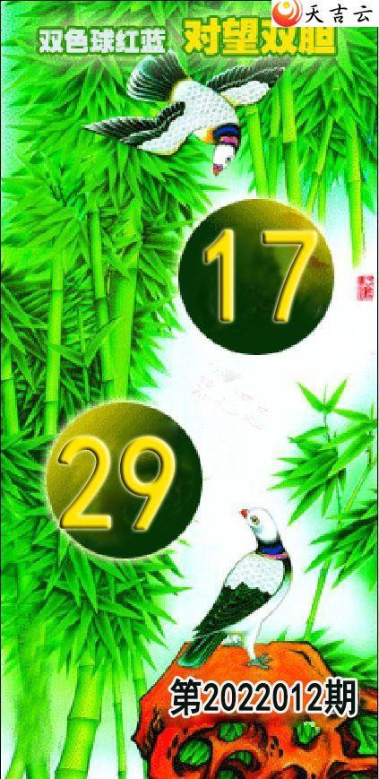 ˫ɫ��012�ڶ���˫��ͼ��1