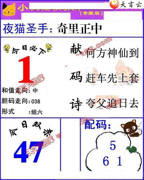 3d22008��Сҹè�챨ͼ��2