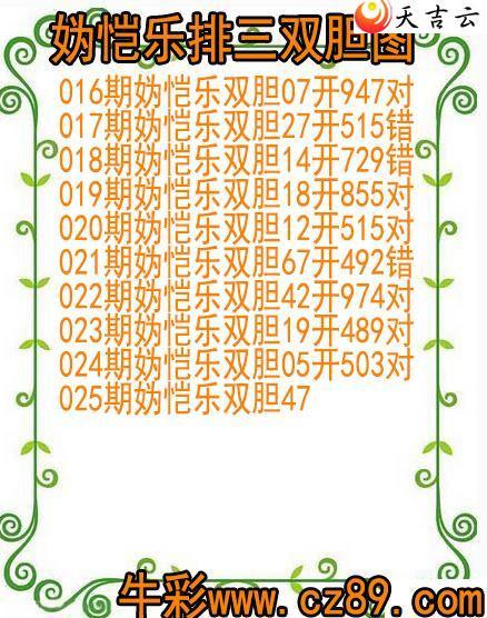 22025�������˫��ͼ��1